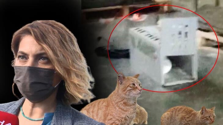 AVM'deki 'kedi kapanı' tepkisi! Polis el koydu