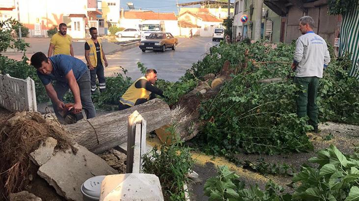 Aydın'da korkutan anlar! Hızı saatte 30 kilometreyi aştı