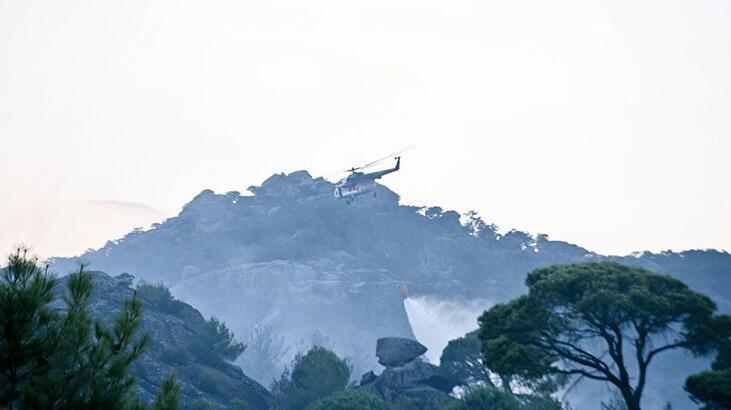 Aydın'daki orman yangını kontrol altında