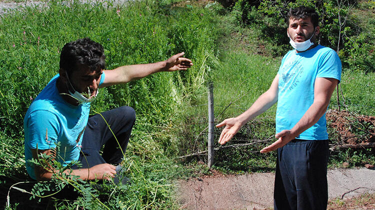 Ayı 15 kovanı parçaladı! Hayatının şokunu yaşadı