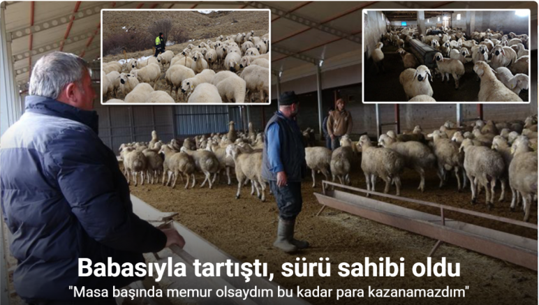 Babasıyla tartıştı, vadeli koyun alarak kendi sürüsüne sahip oldu