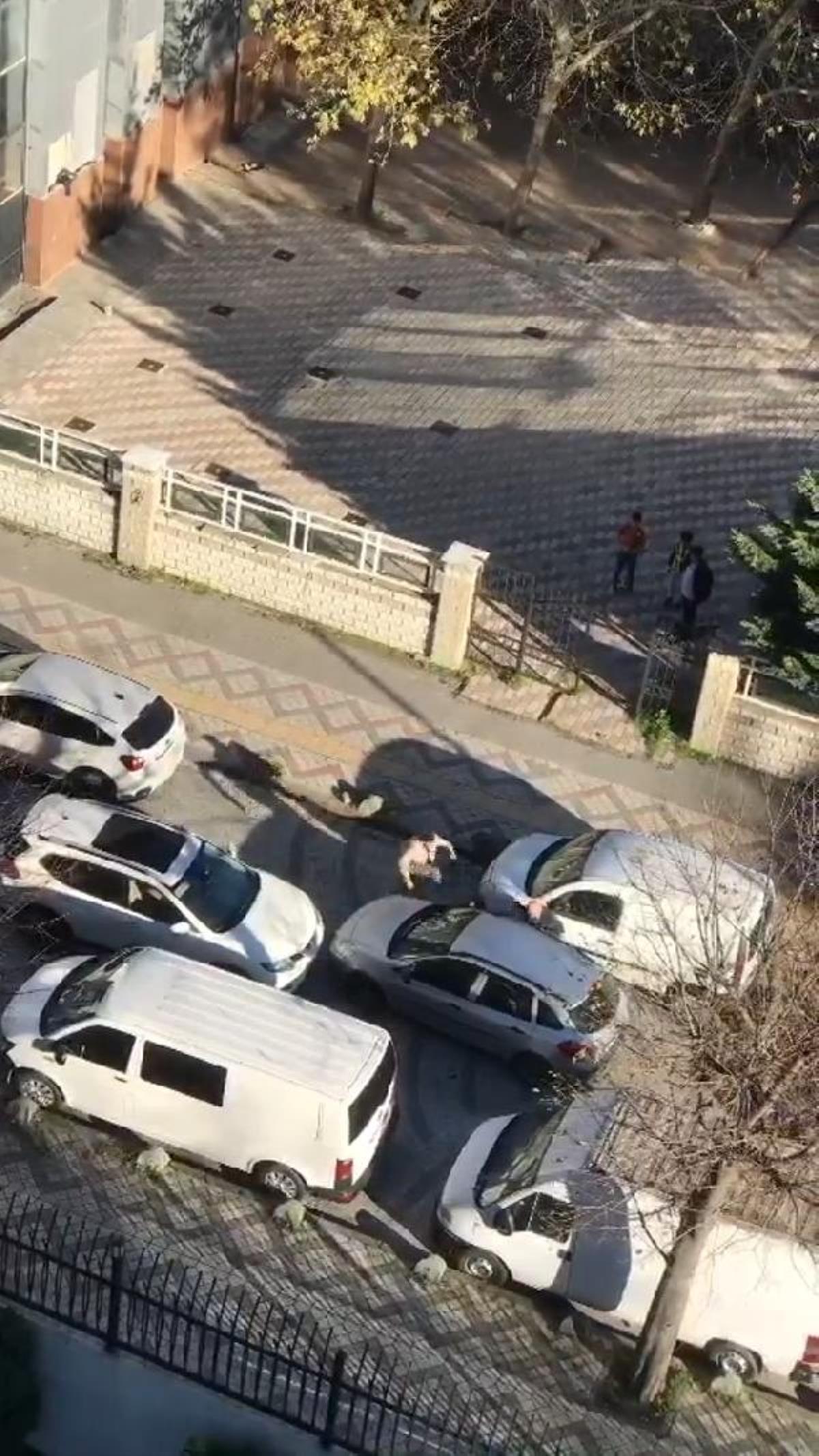 BAĞCILAR'DA TERS YÖNDEN GELEN SÜRÜCÜNÜN SALDIRI ANLARI KAMERADA