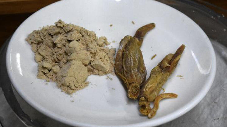 Bağışıklığı güçlendiren 'ginseng' kilosu 2 bin TL'den satılıyor