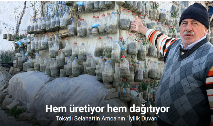 Bahçede yetiştiremeyince çözümü evinin duvarında buldu