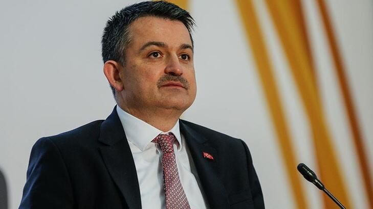 Bakan Pakdemirli'den, Arhavi'deki taşkına ilişkin açıklama