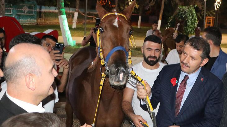 Bakan Soylu’ya ‘Suruç’ isimli yarış atı hediye edildi