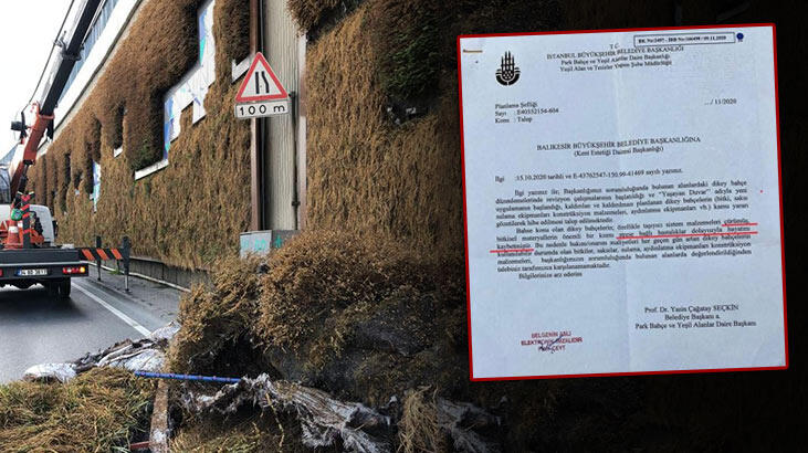 Balıkesir’in ‘dikey bahçe’ talebine İBB’den, ‘stres nedeniyle hayatını kaybettiler’ cevabı