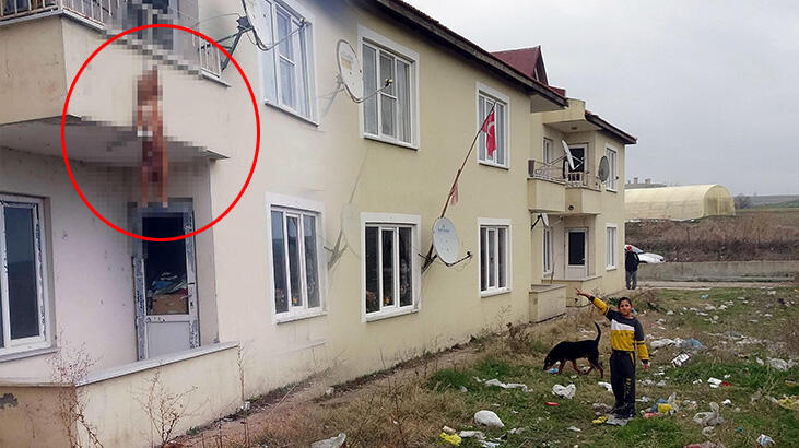Balkona bağladıkları köpeği ölüme terk eden aileye para cezası