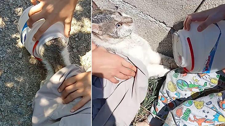 Bartın'da kafası yoğurt kabına sıkışan kediyi vatandaşlar kurtardı