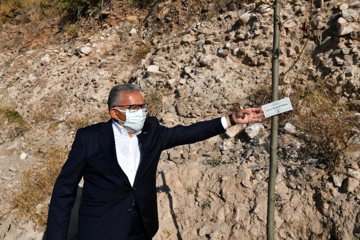 Başkan Büyükkılıç ağaç dikme etkinliğine katıldı