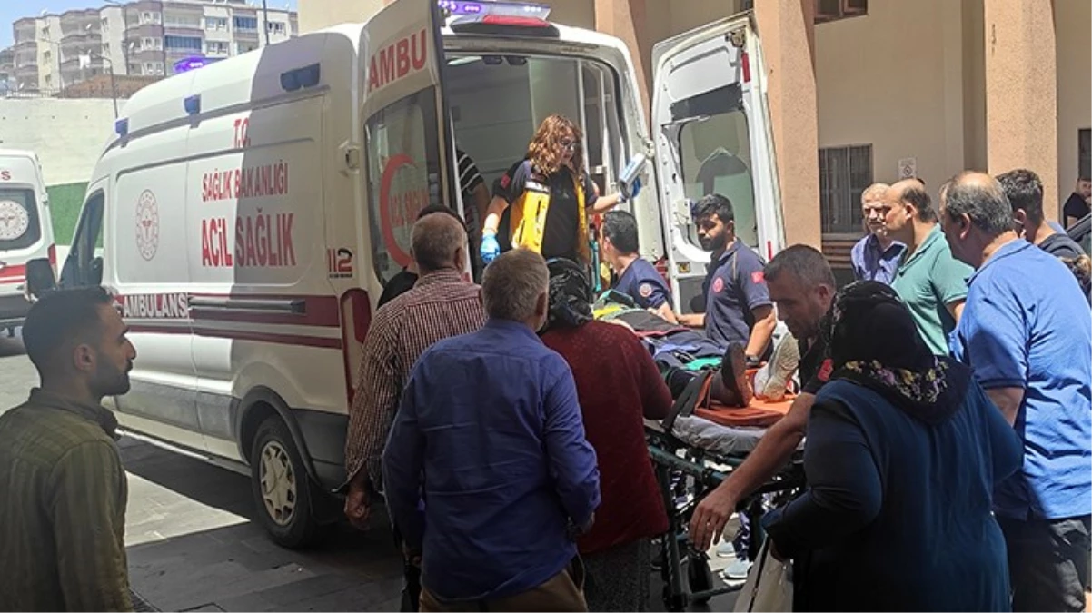 Batman'da kuru otları yakmak isteyen yaşlı adam alevlerin arasında kalarak can verdi