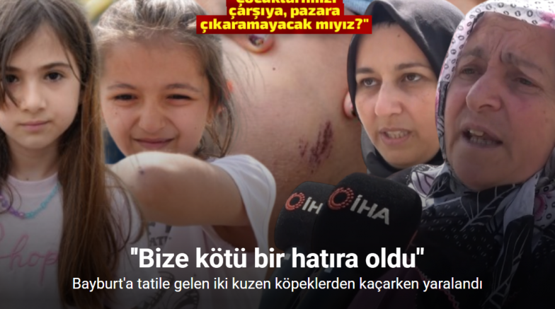 Bayburt’a tatile gelen iki kuzen köpeklerden kaçarken yaralandı