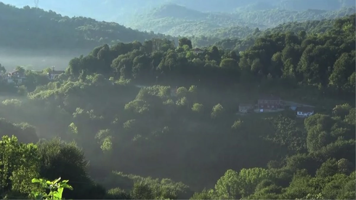 Bayramı silah atma geleneğiyle karşıladılar! İhbarların ardından ekipler harekete geçti