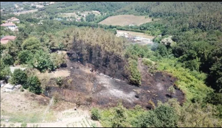 Beykoz'daki orman yangıyla ilgili bir kişi gözaltına alındı