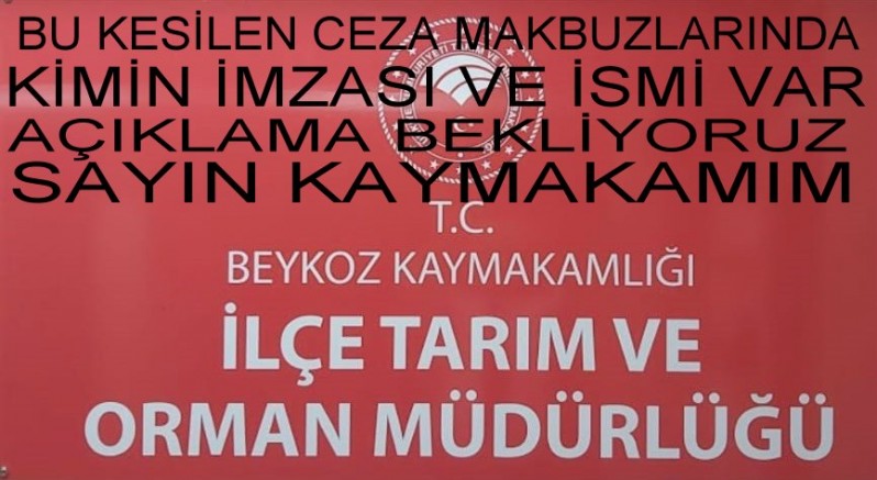 Beykoz İlçe Tarım Müdürlüğüne Beykoz halkı tarafından büyük tepki.