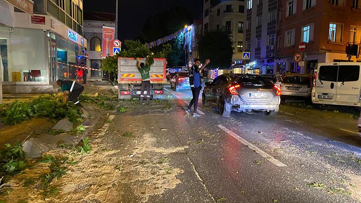 Beyoğlu'nda TIR'ın çarptığı ağaç ortadan ikiye ayrıldı