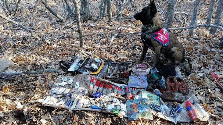 Bingöl'de PKK'lı teröristlerin kullandığı 2 sığınak imha edildi