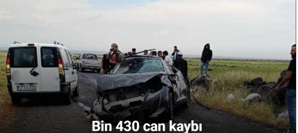 Bir ayda 230 kişi yollarda öldü