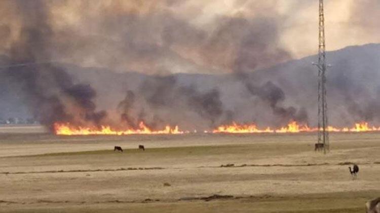 Birçok kuş türü yaşıyor! Yangın 3 gün sonra kontrol altında