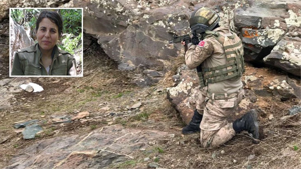 Bitlis'te çıkan çatışmada gri kategoride bulunan terörist etkisiz hale getirildi
