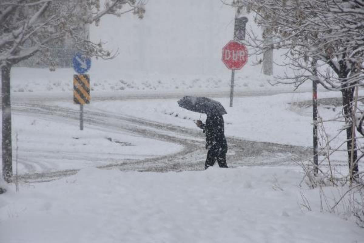 Bitlis'te kardan kapanan 234 yerleşim yeri yolu açıldı