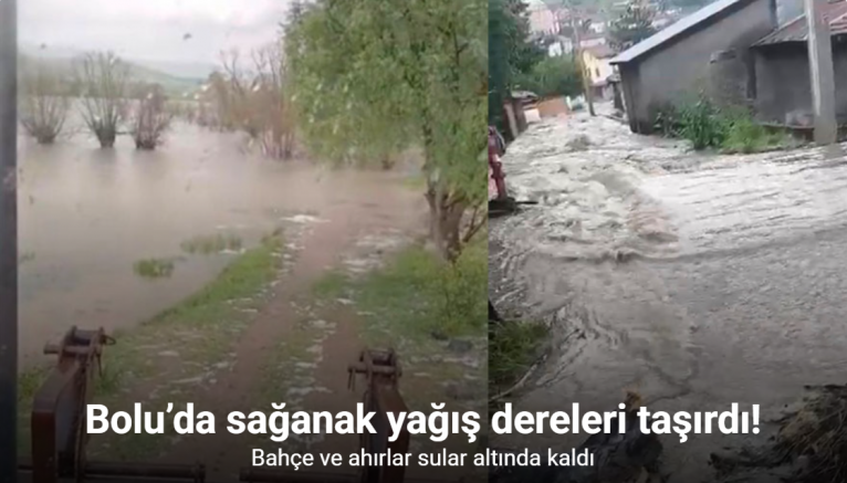 Bolu’da sağanak yağış dereleri taşırdı: Bahçe ve ahırlar sular altında kaldı