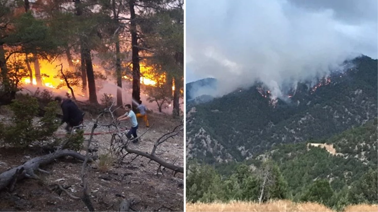 Bolu'da ormana düşen yıldırım yangına sebep oldu! Karadan müdahale zor, havadan destek veriliyor