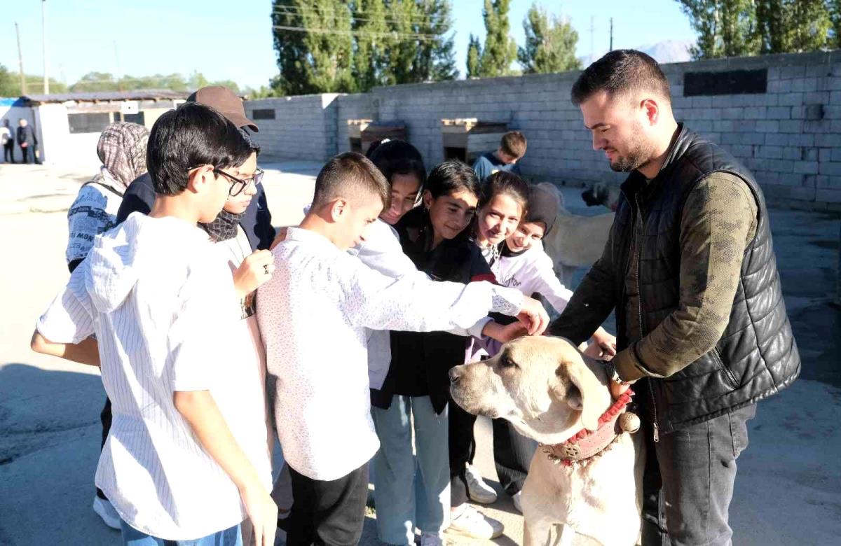 Bu çiftlikte özel olarak yetiştirilen köpeklerin fiyatı 750 bin TL'ye kadar çıkıyor