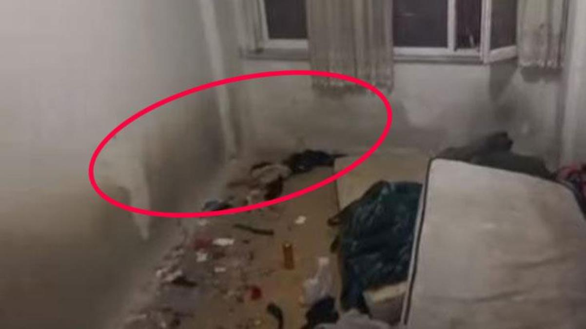 Bu eve istenen kira 6 bin TL! Mal sahibinin kiracıya koyduğu tek şart ise duyanları sinir küpüne çevirdi