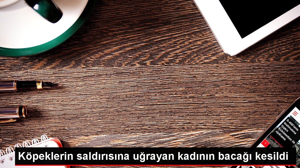 Bu nasıl bir acı! İstanbul'da köpek saldırısına uğrayan kadının bacağı kesildi