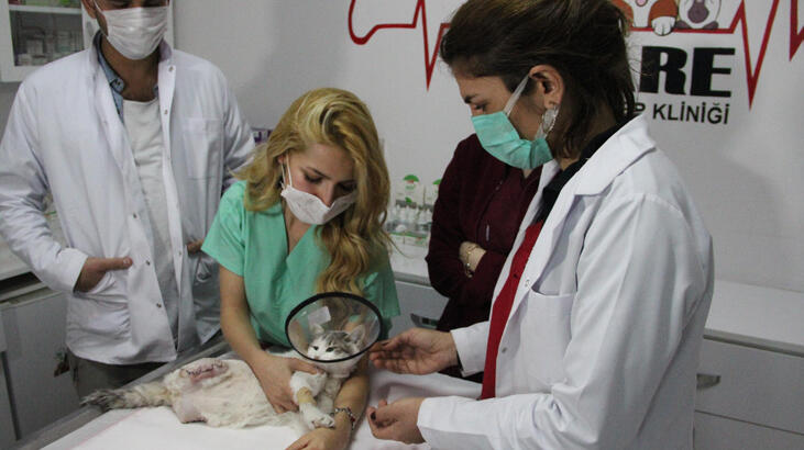 Bu nasıl vicdansızlık! Aile hekimi bodrum katında buldu