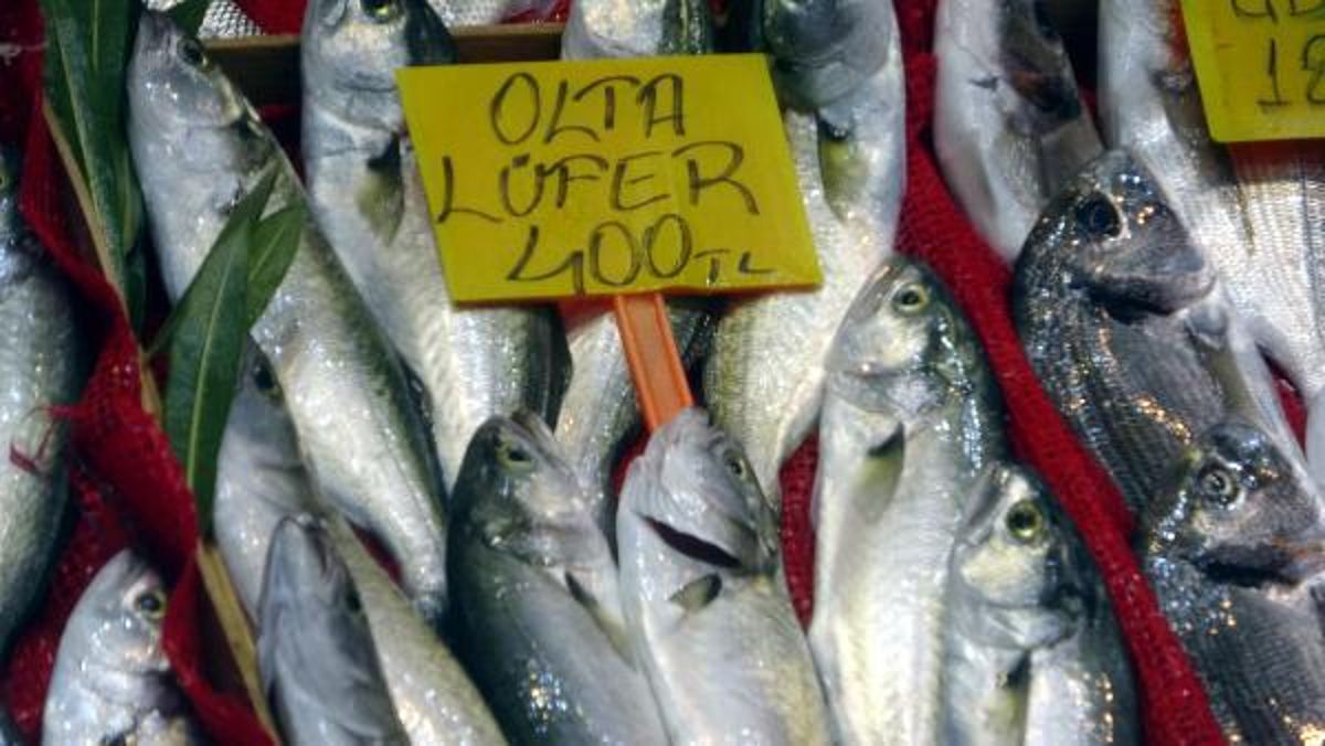 Bu sezon tezgahlarda az rastlanan 'Denizin prensi' cep yakıyor! Kilosu 400 liraya çıktı