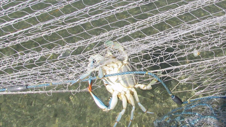 Bunu yapan yandı! Cezası 5 bin lira...