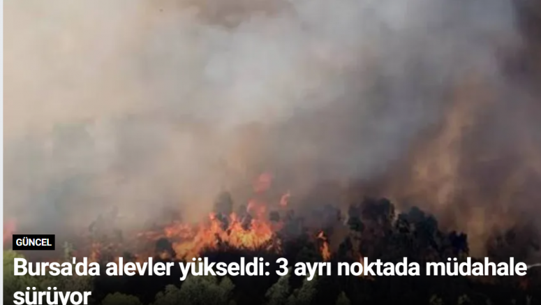Bursa'da alevler yükseldi: 3 ayrı noktada müdahale sürüyor