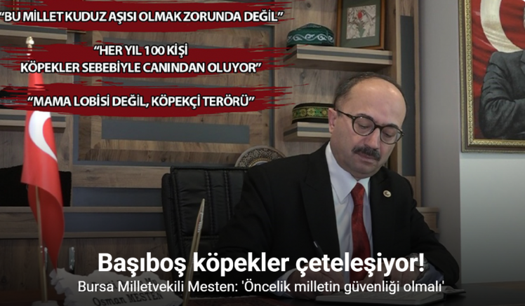 Bursa Milletvekili Mesten: 'Öncelik milletin güvenliği olmalı'