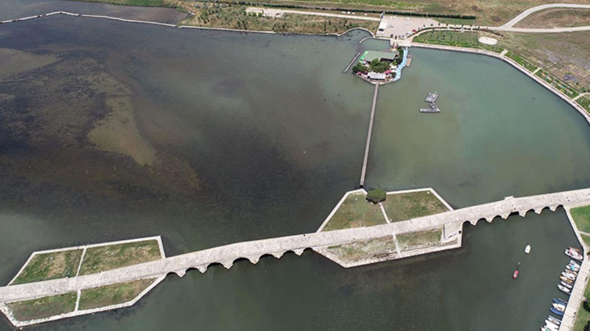 Büyükçekmece Gölü'nün rengi değişti, ölü balıklar kıyıya vurdu