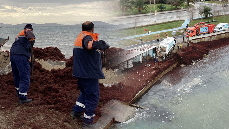 Caddebostan sahili 1 günde böyle oldu! Kamyon kamyon taşıyorlar