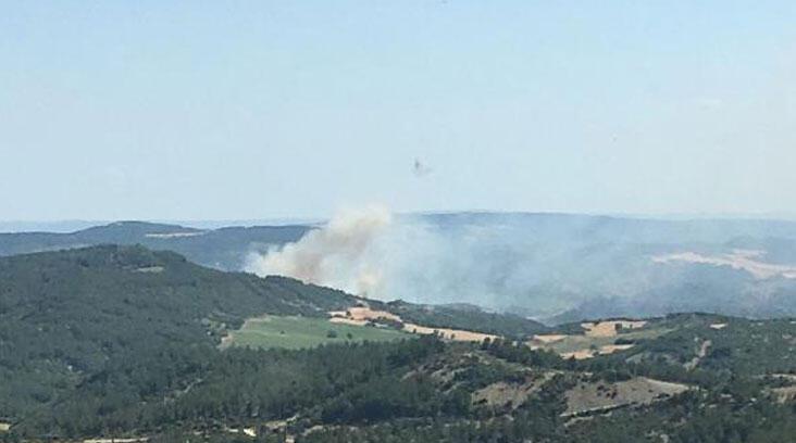 Çanakkale'de 3 dönüm makilik yandı