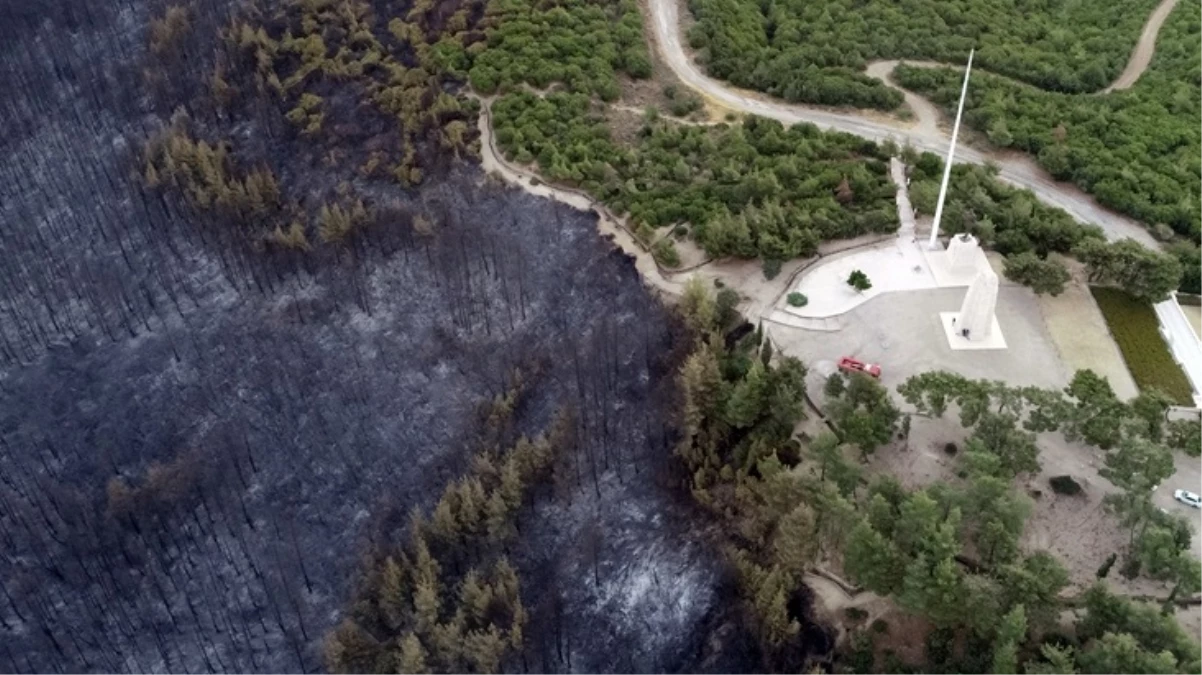 Çanakkale'de orman yangını sonucu bir günde yaşanan kayıp gözler önüne serildi