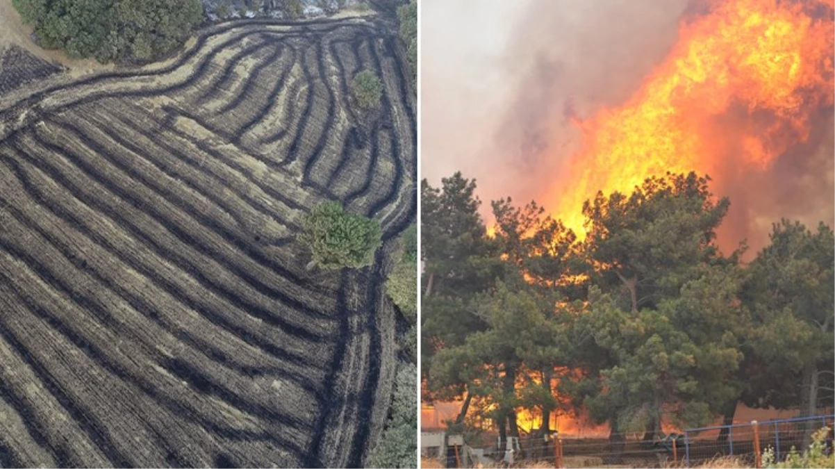 Çanakkale'de orman yangınında 38 saat geride kaldı! Alevler her yeri kül etti, bölgenin son hali içler acısı