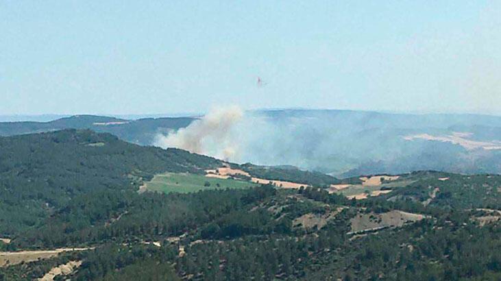 Çanakkale'de ormanlara giriş yasaklandı