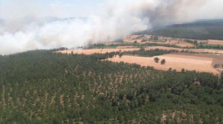 Çanakkale'de tarladaki yangın ormana sıçradı