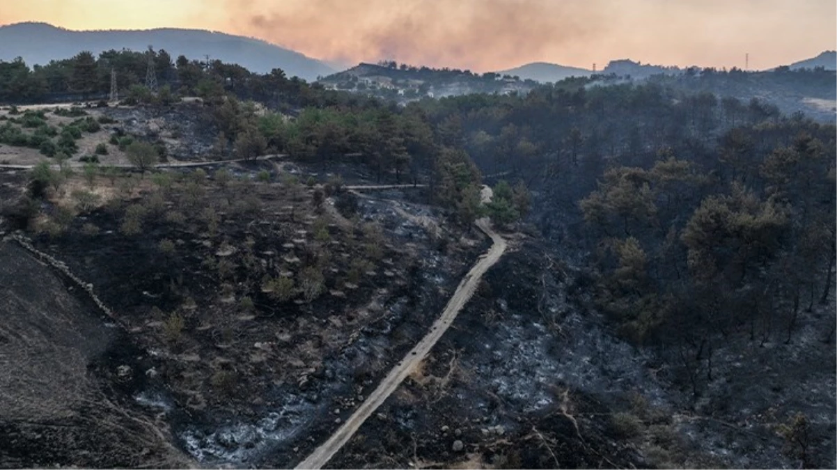 Çanakkale'de yangının boyutu gün ağarınca ortaya çıktı