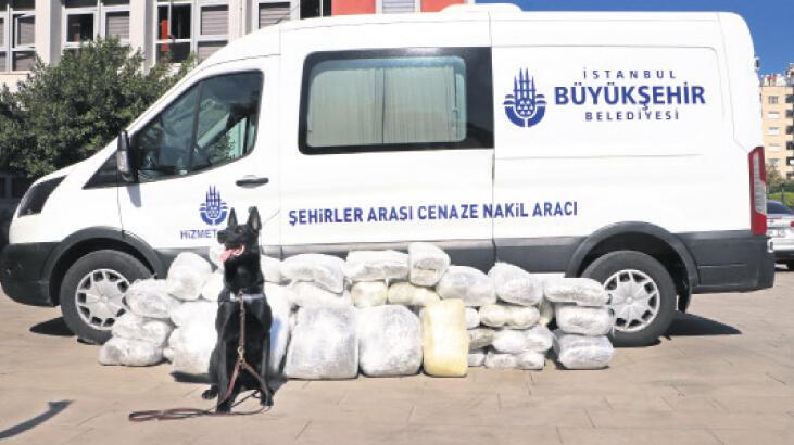 Cenaze nakil aracından 144 kilo esrar çıktı