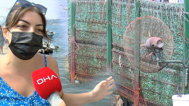 Çengelköy'de dereden gelen kötü kokuya vantilatörlü önlem