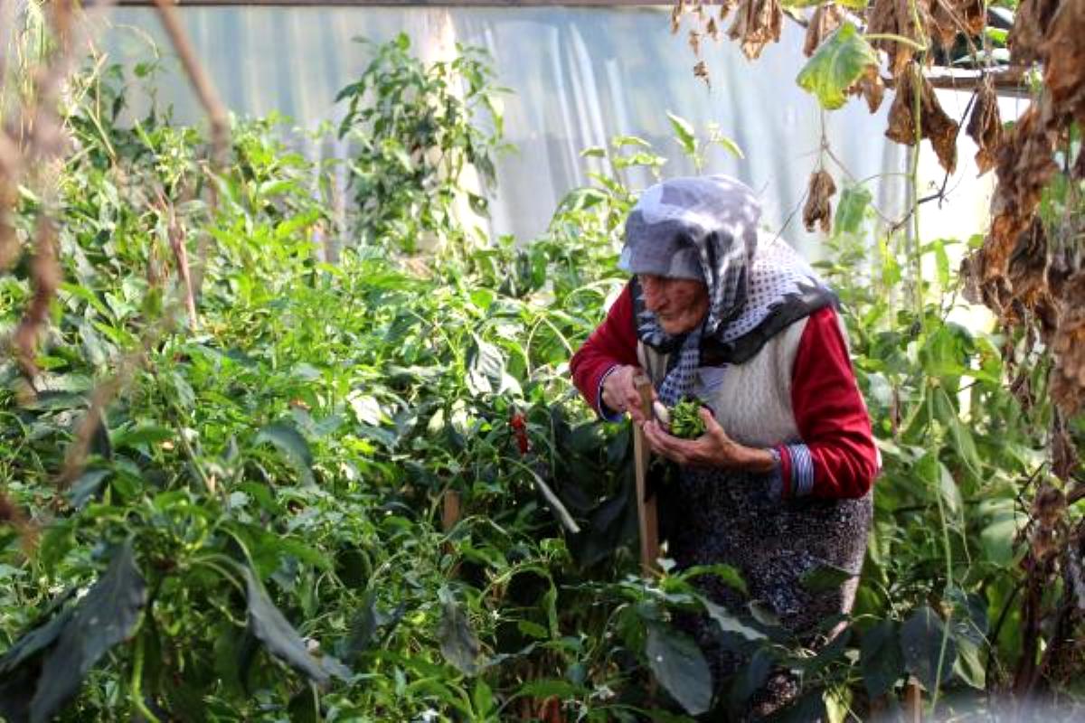 'Cici babaanne', enerjisiyle hayran bırakıyor