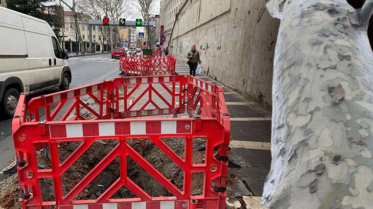 Çırağan Caddesi'nde kesilen 112 ağaç için İBB'ye ceza verildi