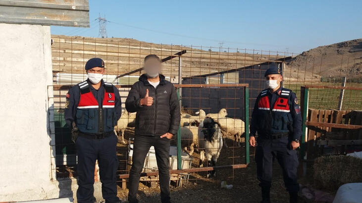 Çobanın kaybettiği 55 küçükbaş, dronela bulundu