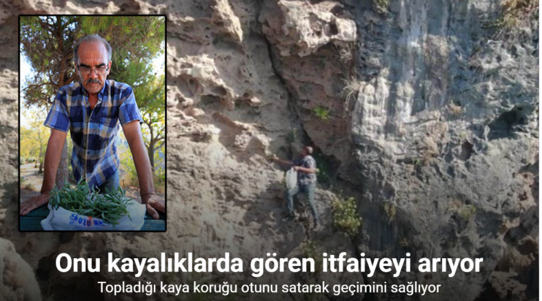 Denize sıfır sarp kayalıklarda ot topluyor, gören itfaiyeyi arıyor
