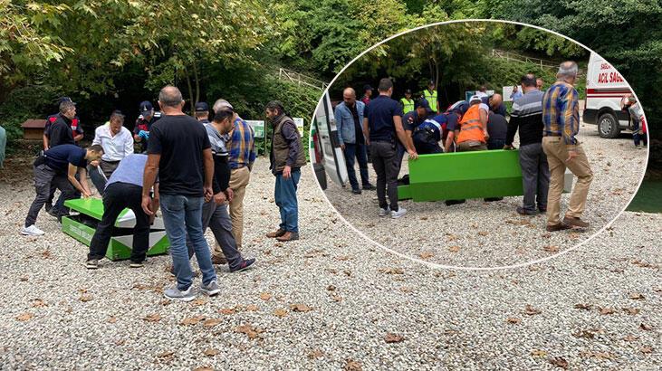 Denizli’den Sinop’a gezmeye giden ailenin üzerine ağaç devrildi: 2 ölü